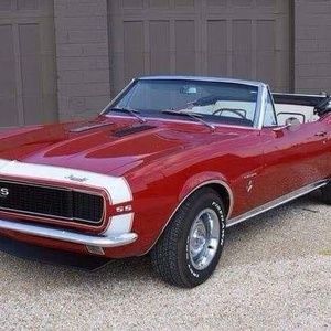 Meet your Posher, Douglas